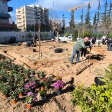 Ο Δήμος Αθηναίων ενισχύει το πράσινο σε 43 σχολικές αυλές, δημιουργώντας οάσεις δροσιάς με τη φύτευση 229 δέντρων και 1.238 θάμνων.