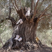 Εγκαίνια για την έκθεση «Nurturing Mechanisms: Συνυφάνσεις στις Καμπόνες» στη Νάξο