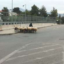 Φτιάξε μου τη μέρα: Αστική αθηναϊκή βόλτα