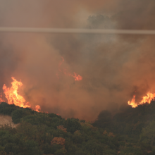 Φωτιά στην Αλεξανδρούπολη