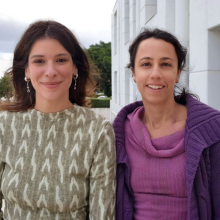 Ανθεκτικότητα σε εντομοκτόνα νέας γενιάς αναπτύσσουν ταχύτατα τα κουνούπια φορείς της ελονοσίας