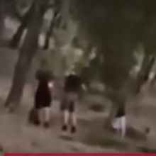 Άνω Βριλήσσια: 13χρονοι έβαζαν φωτιά στο δάσος για «challenge»