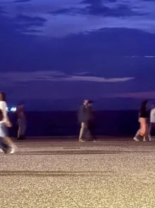 Βρήκαμε μια νέα γάτα, κι αυτά είναι καλά νέα