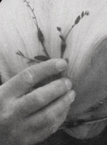 «Νίκος Γαβριήλ Πεντζίκης. Θρέμμα του Άθω»: Η Αθωνική μαθητεία του Πεντζίκη