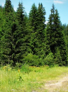 Wellness, κρασί και φύση: Ανακαλύπτοντας τη μαγεία της Δράμας