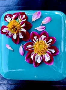 fleur-coco