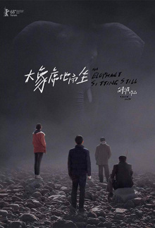 An Elephant Sitting Still