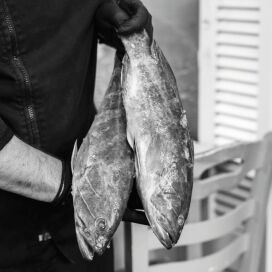 Οι ιστορίες του μπάρμπα ανταμώνουν τον Βλάσση