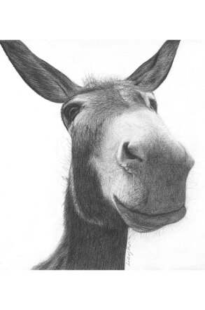 Athens Voice: Το έργο της Εμμανουέλας Λιαγκου στο εξώφυλλο του τεύχους 839