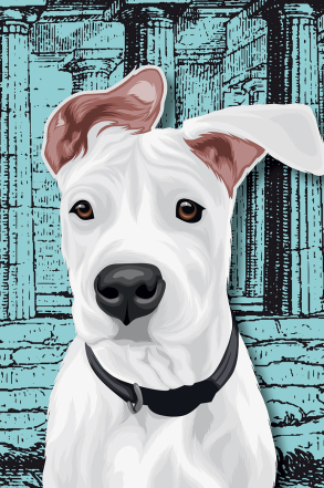 Athens Voice 887 - Ρίαν Νταρμαμά