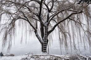 Γεωκουλτούρα: Όλα για την 8η Μπιενάλε Σύγχρονης Τέχνης Θεσσαλονίκης, που ξεκινά στις 10 Δεκεμβρίου