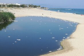 Νεκρά ψάρια στην εκβολή του Αποσελέμη, στο Ηράκλειο Κρήτης