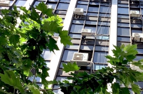 Οδός Φράγκων