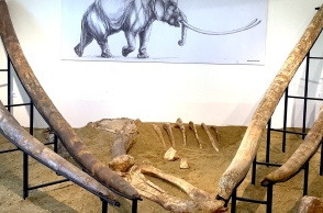 Μουσείο Φυσικής Ιστορίας Μηλιάς Γρεβενών