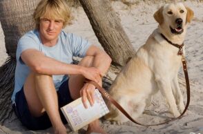 10 ταινίες με σκύλους