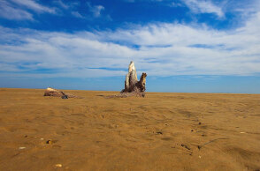 Εσείς πού δεν θα πάτε διακοπές φέτος; 