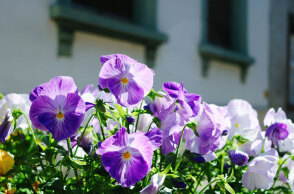 Ζεστός ο καιρός σήμερα Σάββατο (16/7)