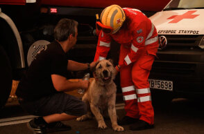 Πυροσβέστες έσωσαν σκύλο από τη φωτιά στην Πεντέλη