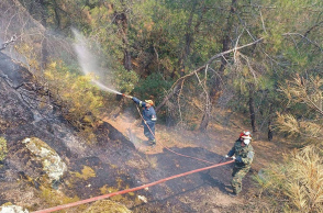 Πυρκαγιά στο δάσος της Δαδιάς