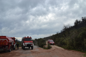 Φωτιά τώρα στη Μεσσηνία