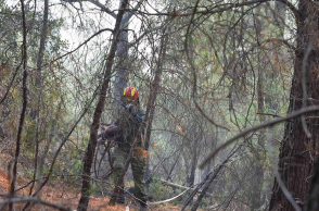 Φωτιά στο δάσος της Δαδιάς