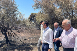 Ο πρόεδρος του ΣΥΡΙΖΑ Αλέξης Τσίπρας στο Ντράφι μετά την καταστροφική φωτιά