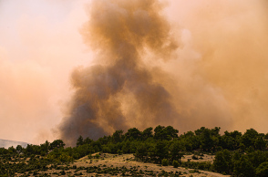 Συνεχίζεται η μάχη με τις φλόγες στη Δαδιά