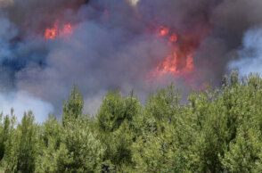 Δασική πυρκαγιά