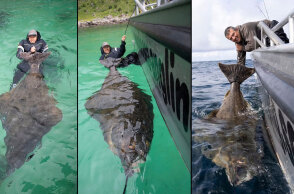 Το ψάρι γίγας στη Νορβηγία