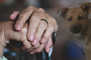 Ηλικιωμένη επιτέθηκε με μπαστούνι σε αδέσποτο στη Θεσσαλονίκη