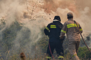 Πυροσβέστες επιχειρούν σε δασική πυρκαγιά