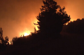 Ολονύχτια μάχη με τις φλόγες δίνουν οι πυροσβέστες στη δασική πυρκαγιά
