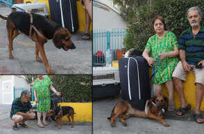 Το ζευγάρι με τον σκύλο τους που πέρασαν τη νύχτα στο λιμάνι του Πειραιά