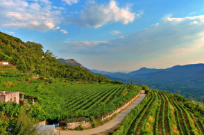 Θεσπρωτικό Πρέβεζας