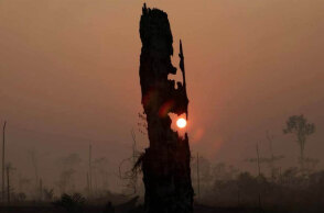 Ο ήλιος δύει σε καμένη γη στον Αμαζόνιο