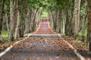 Λιγότερο από 24ωρο για τη φθινοπωρινή ισημερία