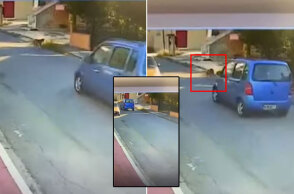Καρέ καρέ η παράσυρση σκύλου από οδηγό αυτοκινήτου στη Θεσσαλονίκη
