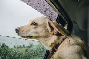Βροχές σε περιοχές της χώρας δίνει η πρόγνωση καιρού της ΕΜΥ για σήμερα Δευτέρα (3/10)