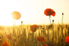 Καλές καιρικές συνθήκες τη Δευτέρα 10 Οκτωβρίου, σύμφωνα με την πρόγνωση καιρού