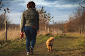 Γενικά καλός ο καιρός αύριο Πέμπτη (13 Οκτωβρίου)