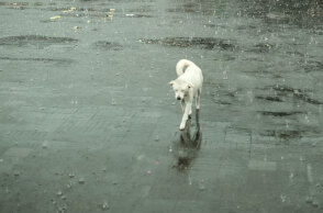 Βροχές από το βράδυ της Πέμπτης (13/10) σε περιοχές της χώρας