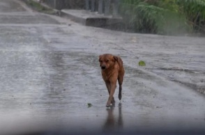  Μήνυμα 112 σε περιοχές της Δυτικής Ελλάδας λόγω έκτακτων καιρικών φαινομένων