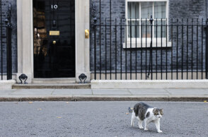 O Λάρι, ο γάτος της Ντάουνινγκ Στριτ