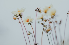 Εορτολόγιο: Σήμερα 31 Οκτωβρίου γιορτάζει…