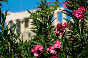 Καιρός σήμερα