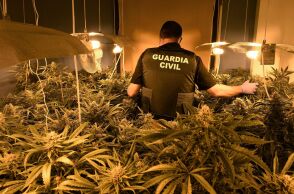 Ισπανία: Η αστυνομία κατέσχεσε τη μεγαλύτερη ποσότητα μαριχουάνας που έχει ποτέ κατασχεθεί παγκοσμίως, αξίας 64 εκατ ευρώ	