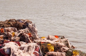 «Ένας αόρατος δολοφόνος»: Πώς τα αλιευτικά εργαλεία έγιναν το πιο θανατηφόρο θαλάσσιο πλαστικό