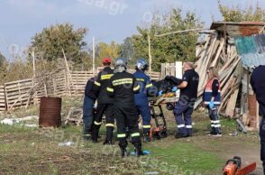 Νεκρή ηλικιωμένη μετά από πτώση δέντρου