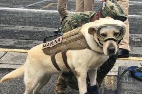 Η Φρίντα παίρνει σύνταξη από το Πολεμικό Ναυτικό