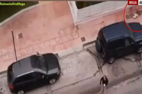 Το νεκρό κανίς στη Δραπετσώνα μετά την επίθεση από λυκόσκυλο